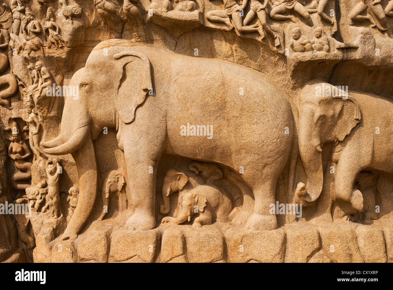 Elk201-4266 India, Tamil Nadu, Mamallapuram, Arjuna's Penance relief carving Stock Photo
