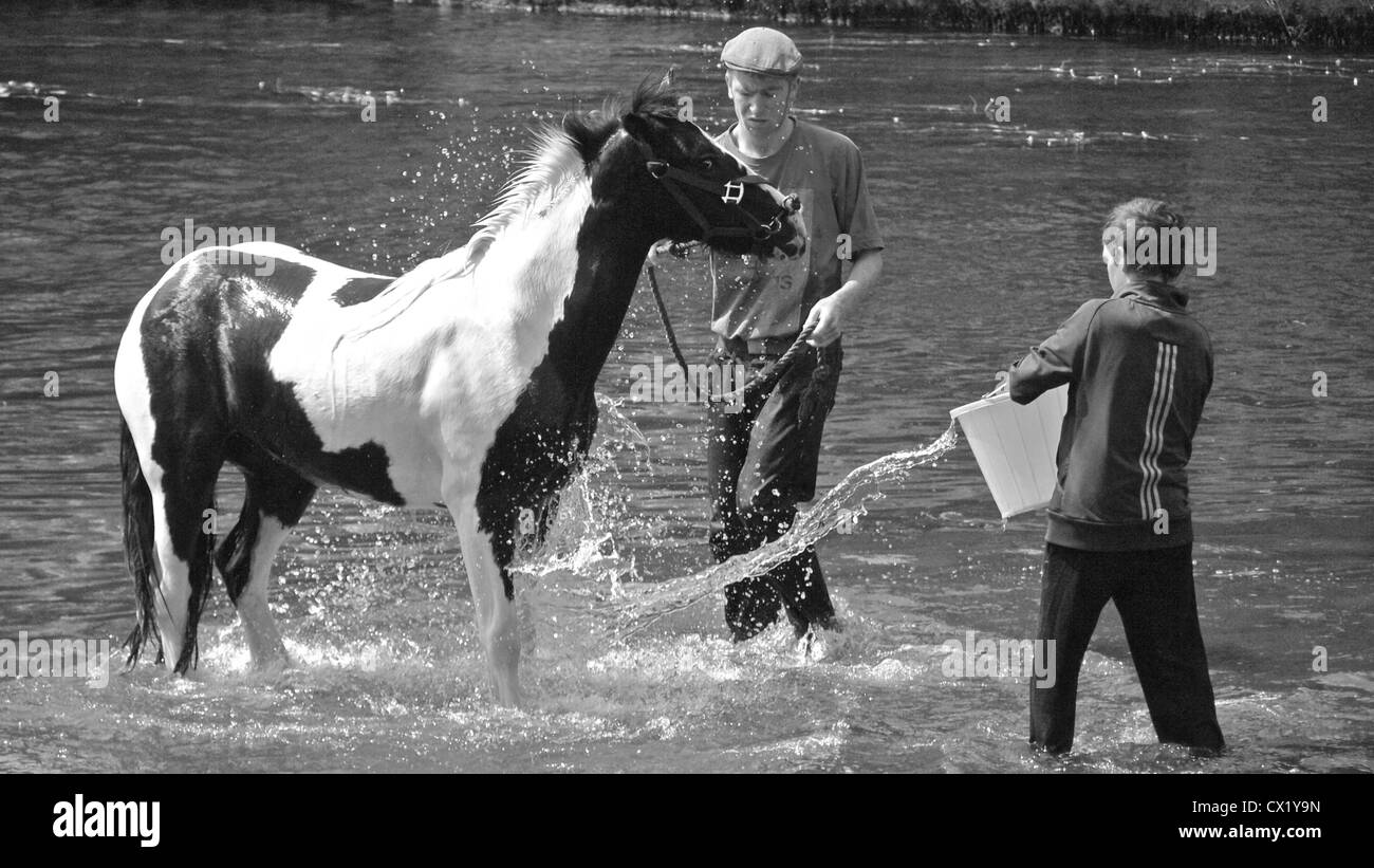 two young men wash a horse in the river at a gypsy horse fair in appleby, westmorland, north west england Stock Photo