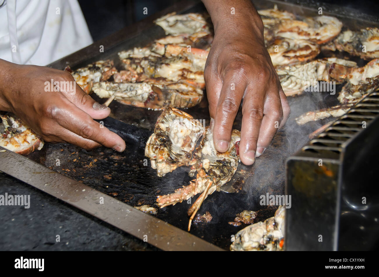 Hands of chef serving Caribbean lobster tails closeup grilling and steaming Stock Photo