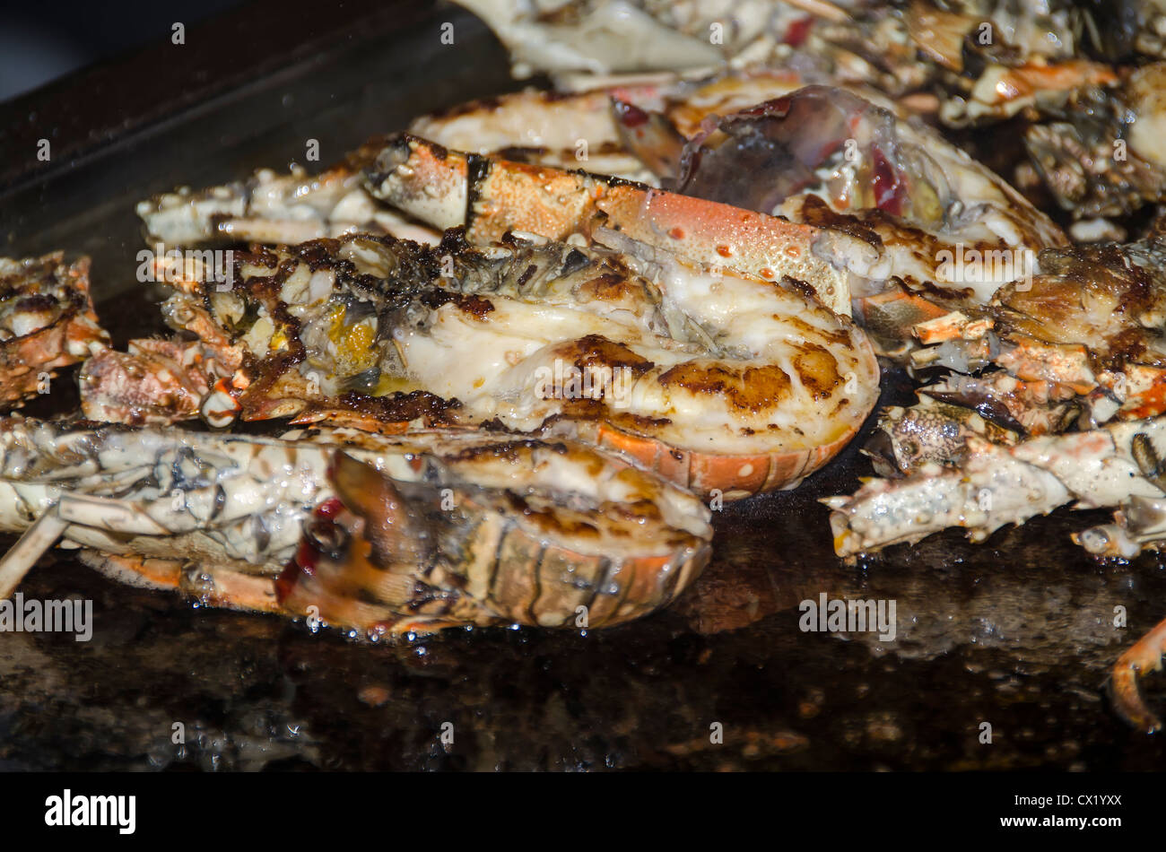Caribbean lobster tails closeup grilling and steaming Stock Photo