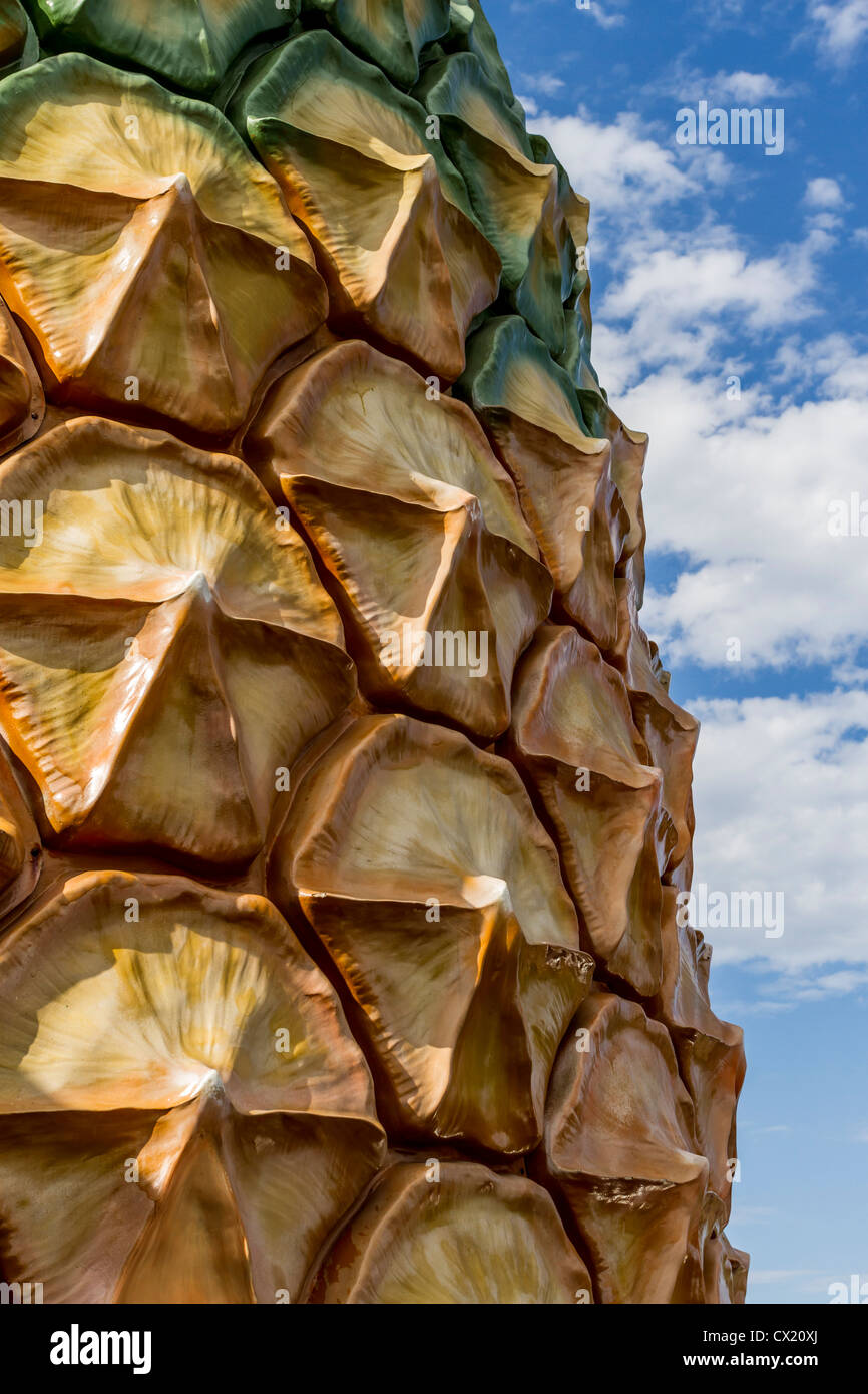 The Big Pineapple is a tourist attraction on the Sunshine Coast in