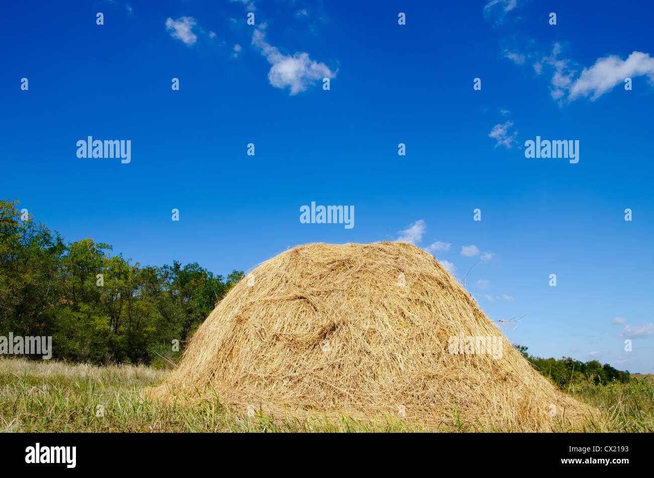 stack of straw under deep blue sky Stock Photo - Alamy