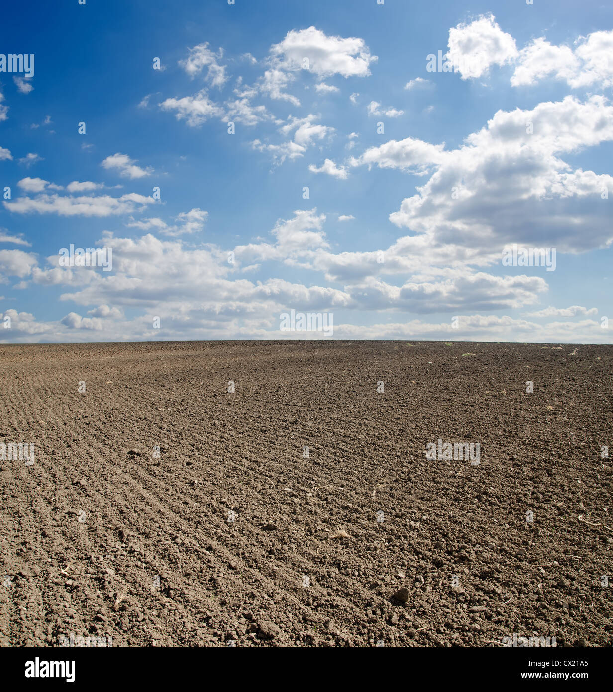 black ploughed field under blue sky Stock Photo - Alamy