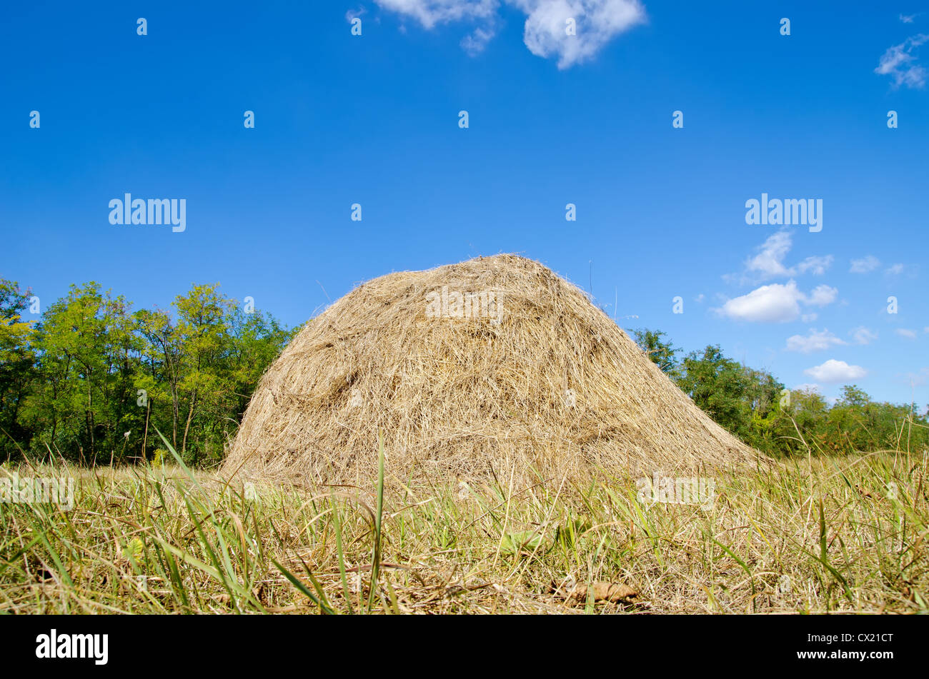 stack of straw under deep blue sky Stock Photo - Alamy