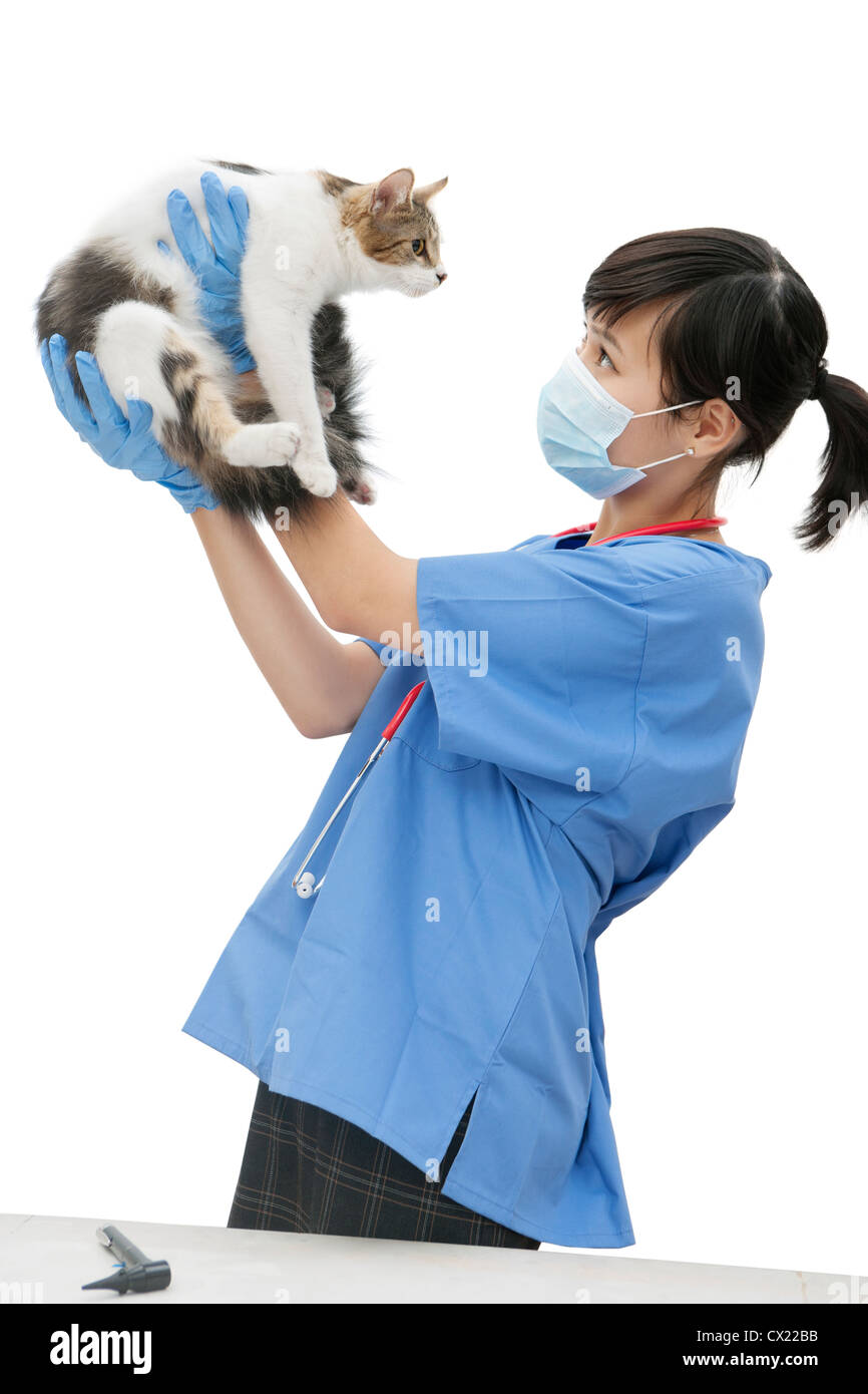 Female veterinarian holding up cat against white background Stock Photo
