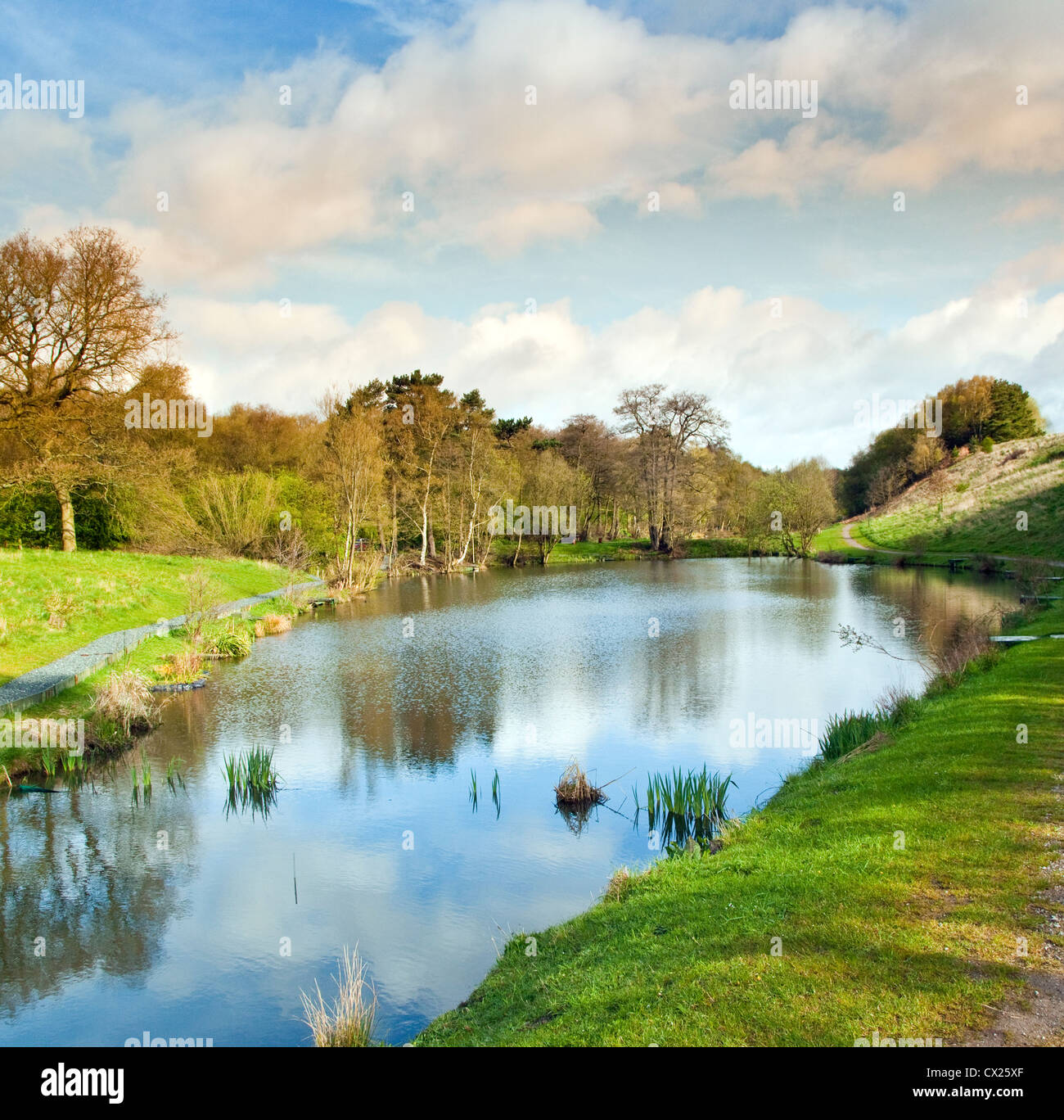Fishing Pool at West Cannock, Cannock Chase Area of Oustanding Natural Beauty in Spring Staffordshire Stock Photo