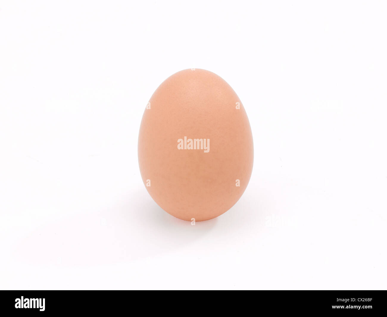 A single brown chicken egg on clean white background Stock Photo - Alamy