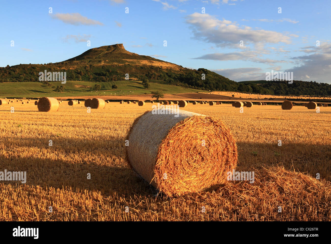 Hay bales & a summertime view of Roseberry Topping, the distinctive hill in the North York Moors National Park, North Yorkshire. Stock Photo