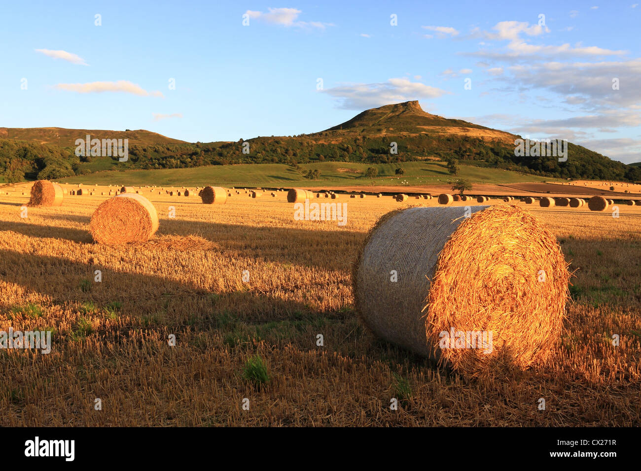 Hay bales & a summertime view of Roseberry Topping, the distinctive