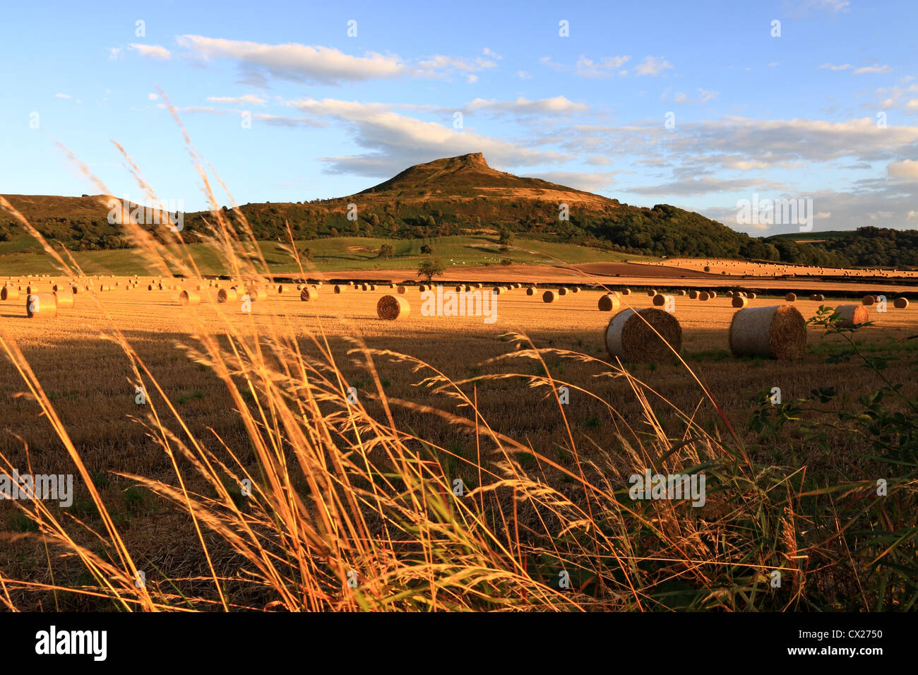 Hay bales & a summertime view of Roseberry Topping, the distinctive hill in the North York Moors National Park, North Yorkshire. Stock Photo