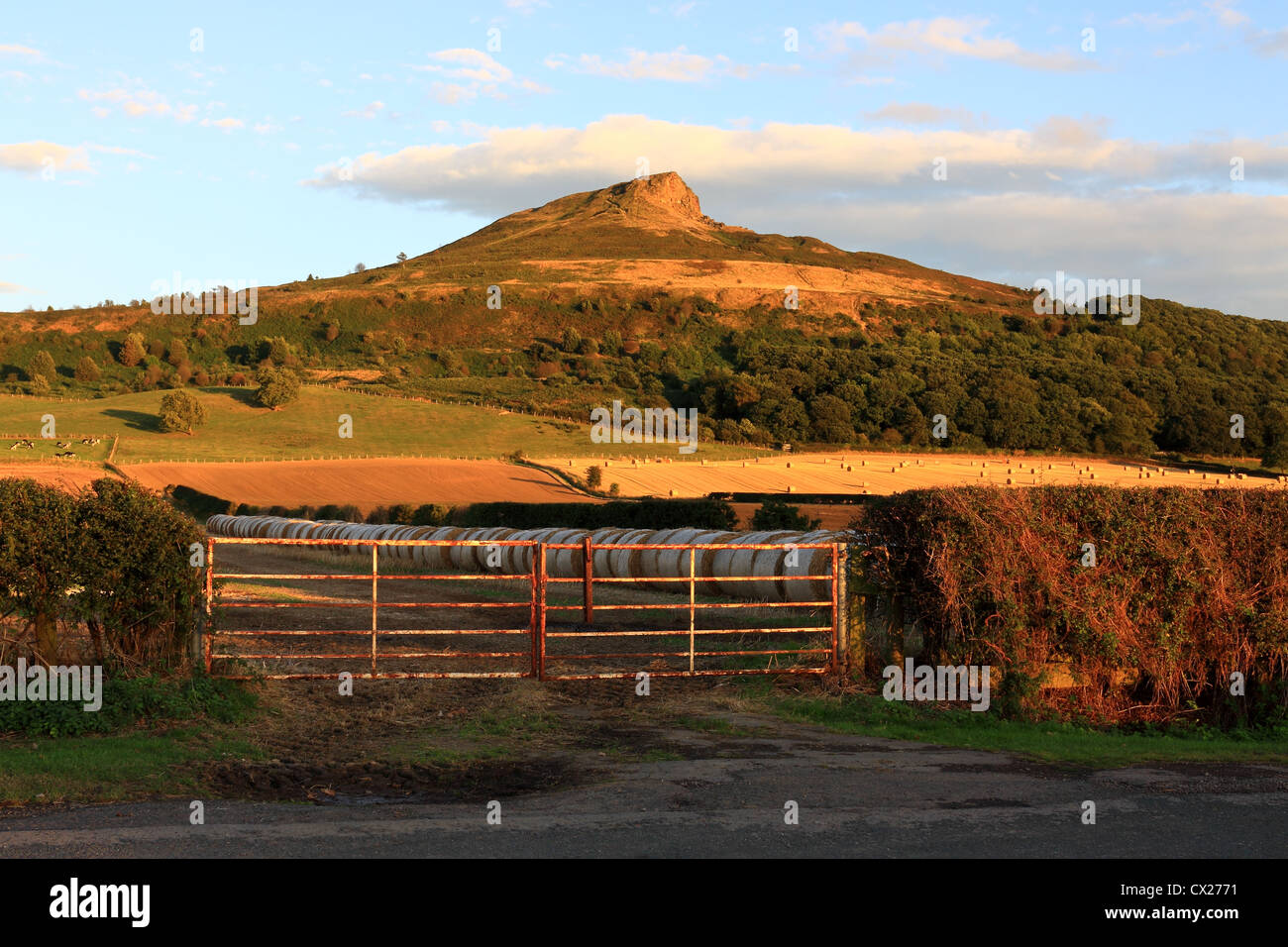 A summertime view of Roseberry Topping, the distinctive hill in the North York Moors National Park, North Yorkshire, UK Stock Photo