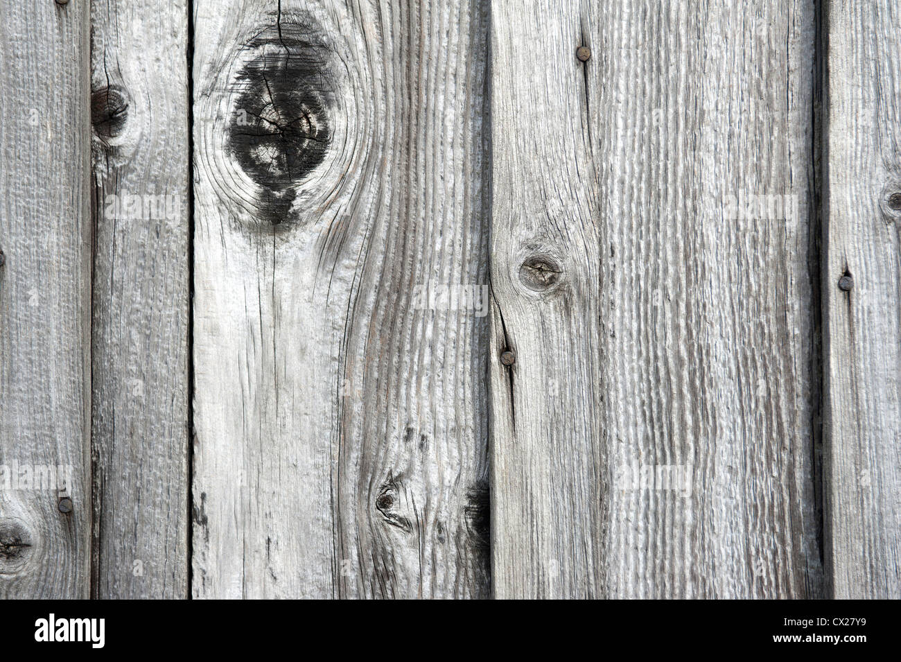 Old weatherbeaten wood with nails and knots Stock Photo