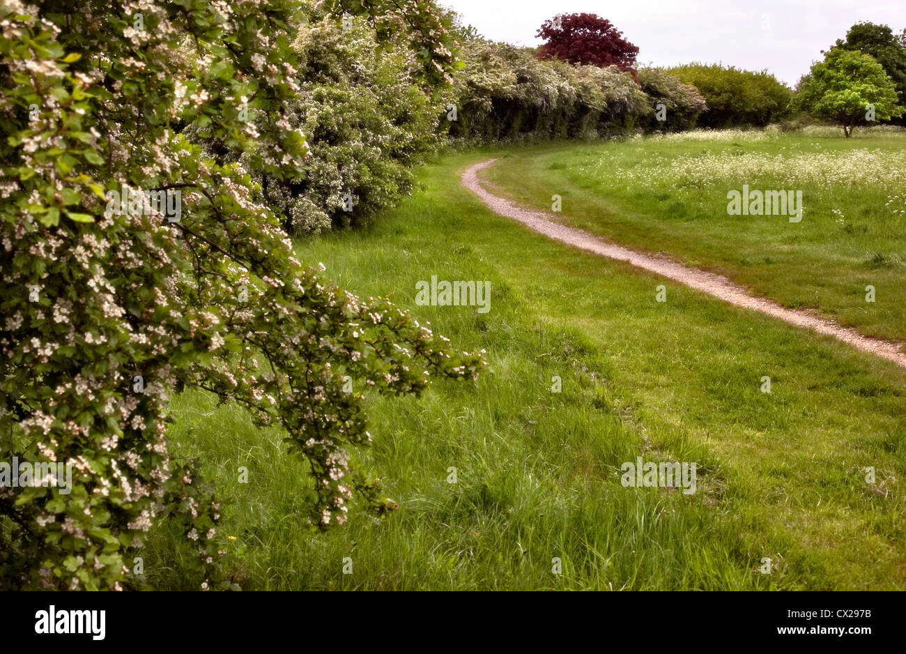 Footpath across Woolwich common in Southeast London Stock Photo