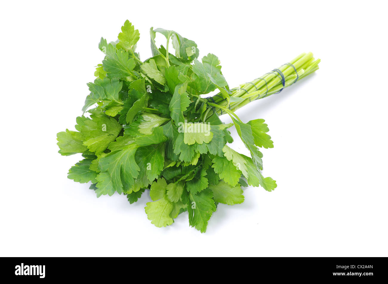 Bunch of fresh green parsley isolated on white background Stock Photo ...
