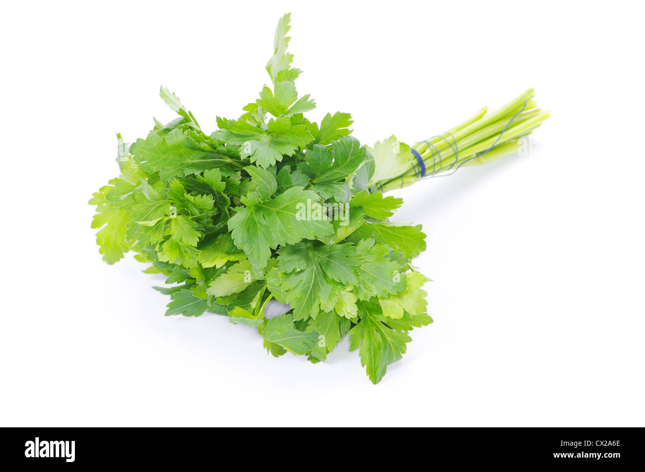 Bunch of fresh green parsley isolated on white background Stock Photo ...