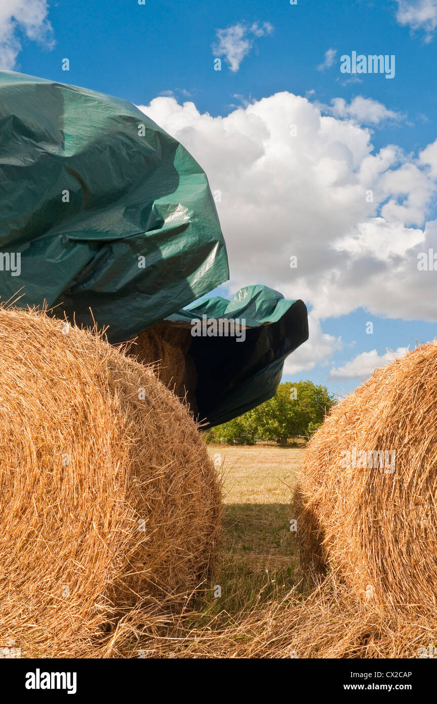 Stack of straw bales covered in plastic protective sheeting - sud-Touraine, France. Stock Photo