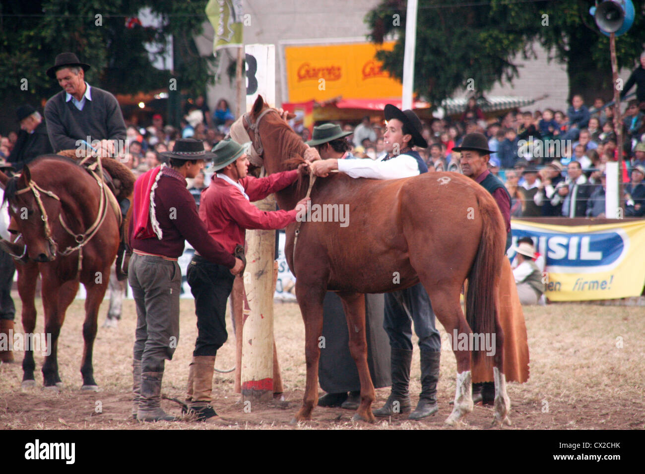 Stadium in uruguay hi-res stock photography and images - Alamy
