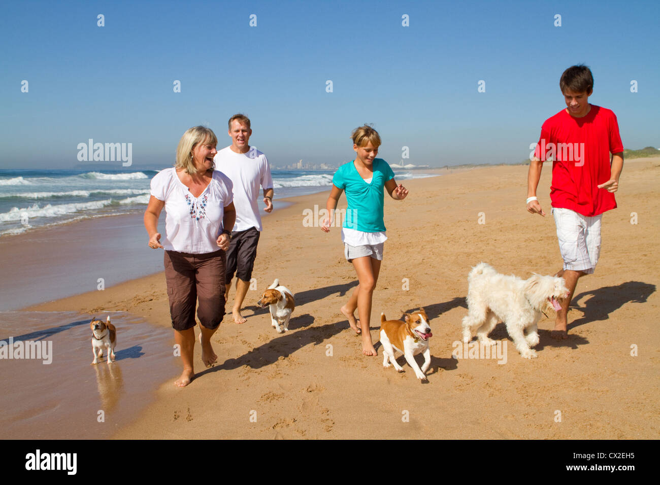 active family with pet dogs running on beach Stock Photo