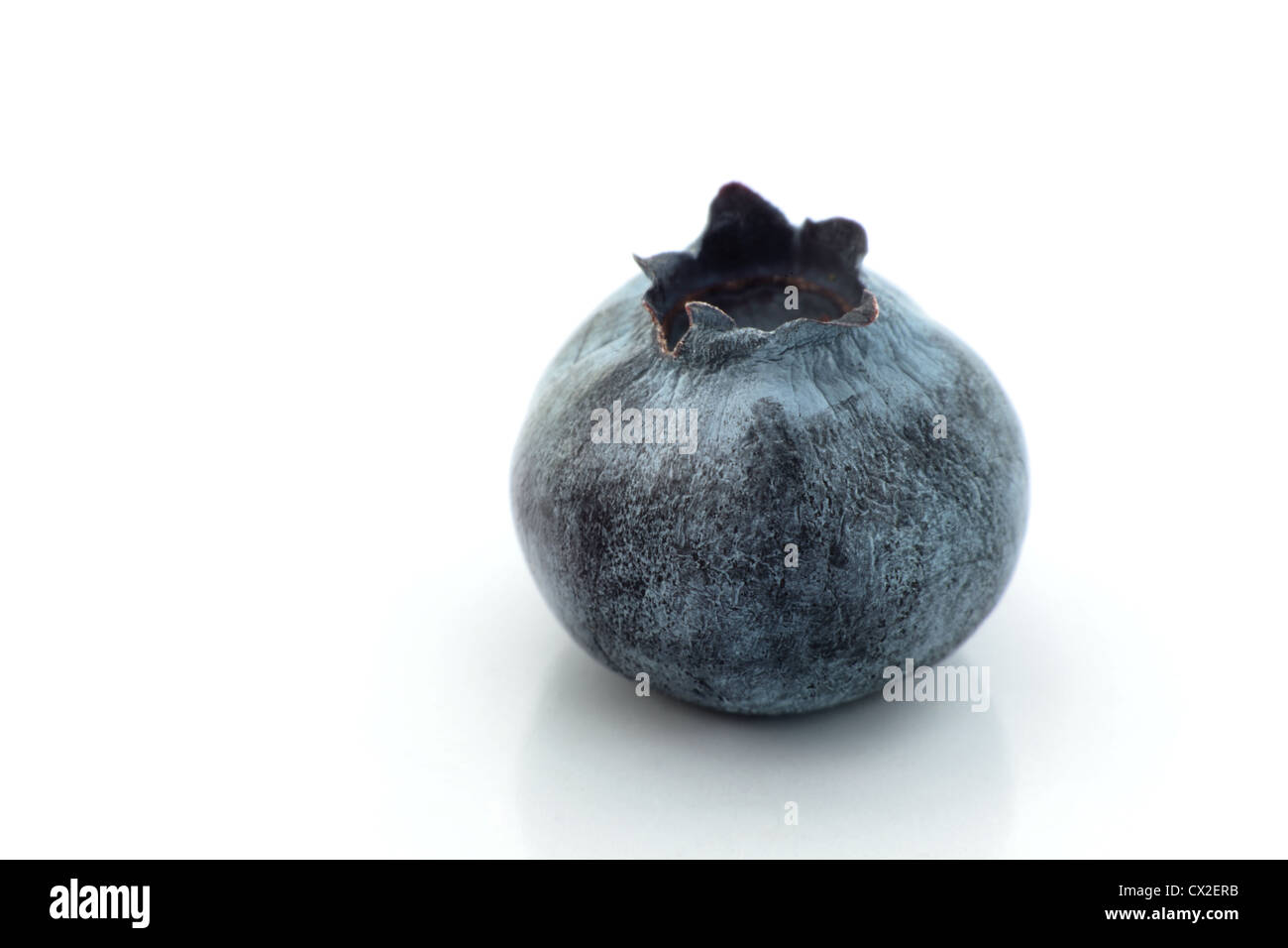 Single blueberry close up isolated on a white background Stock Photo