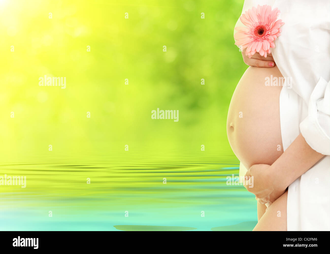 pregnant woman outdoor with pink daisy flower Stock Photo