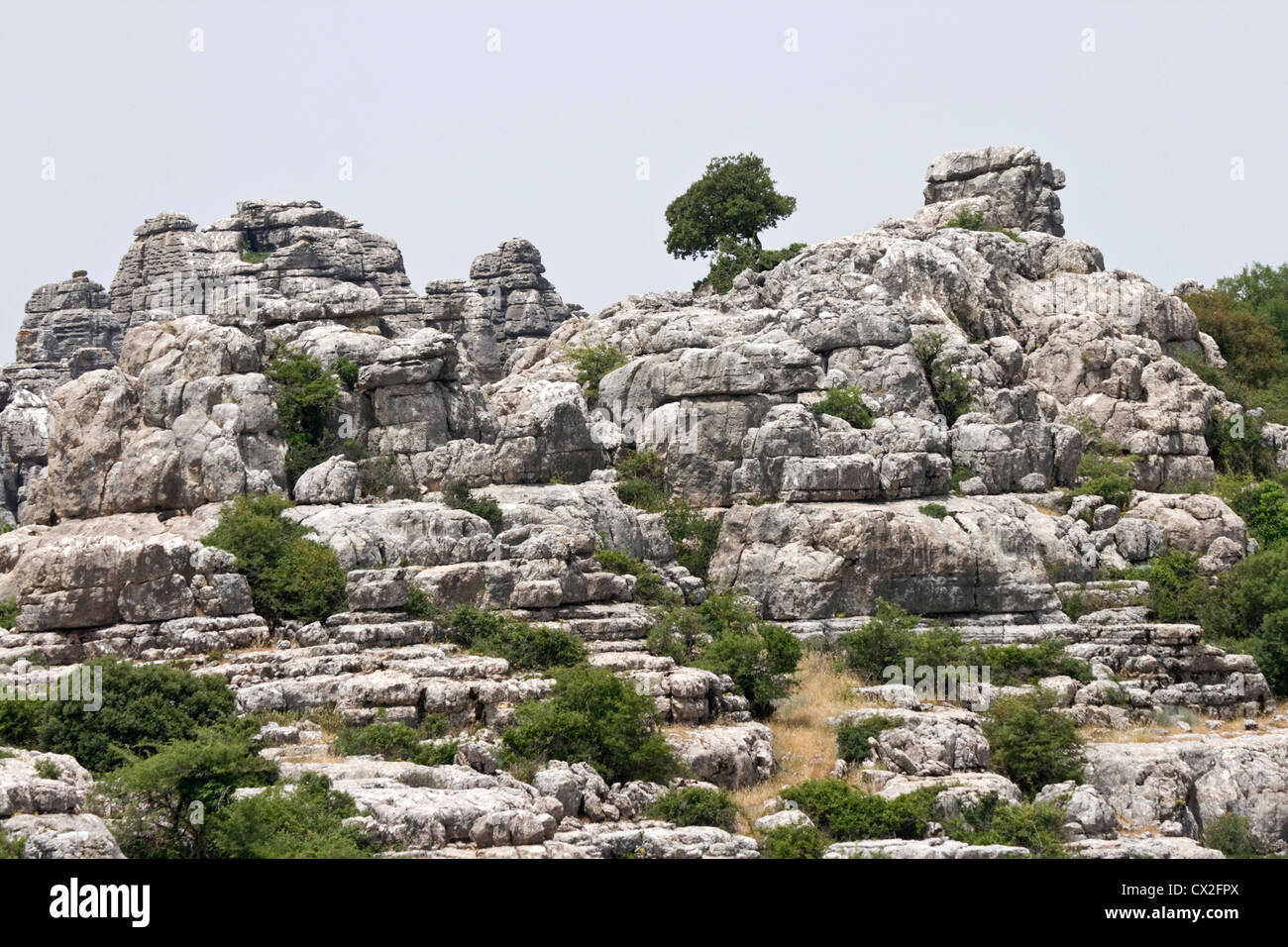 Rock formations in El Torcal Nature Reserve Antequera Malaga Spain Stock Photo