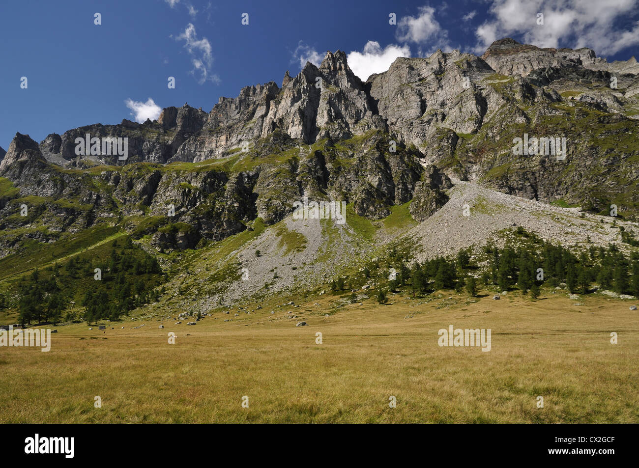 Summertime green mountain landscape in the Alps with peaks, Alpe ...