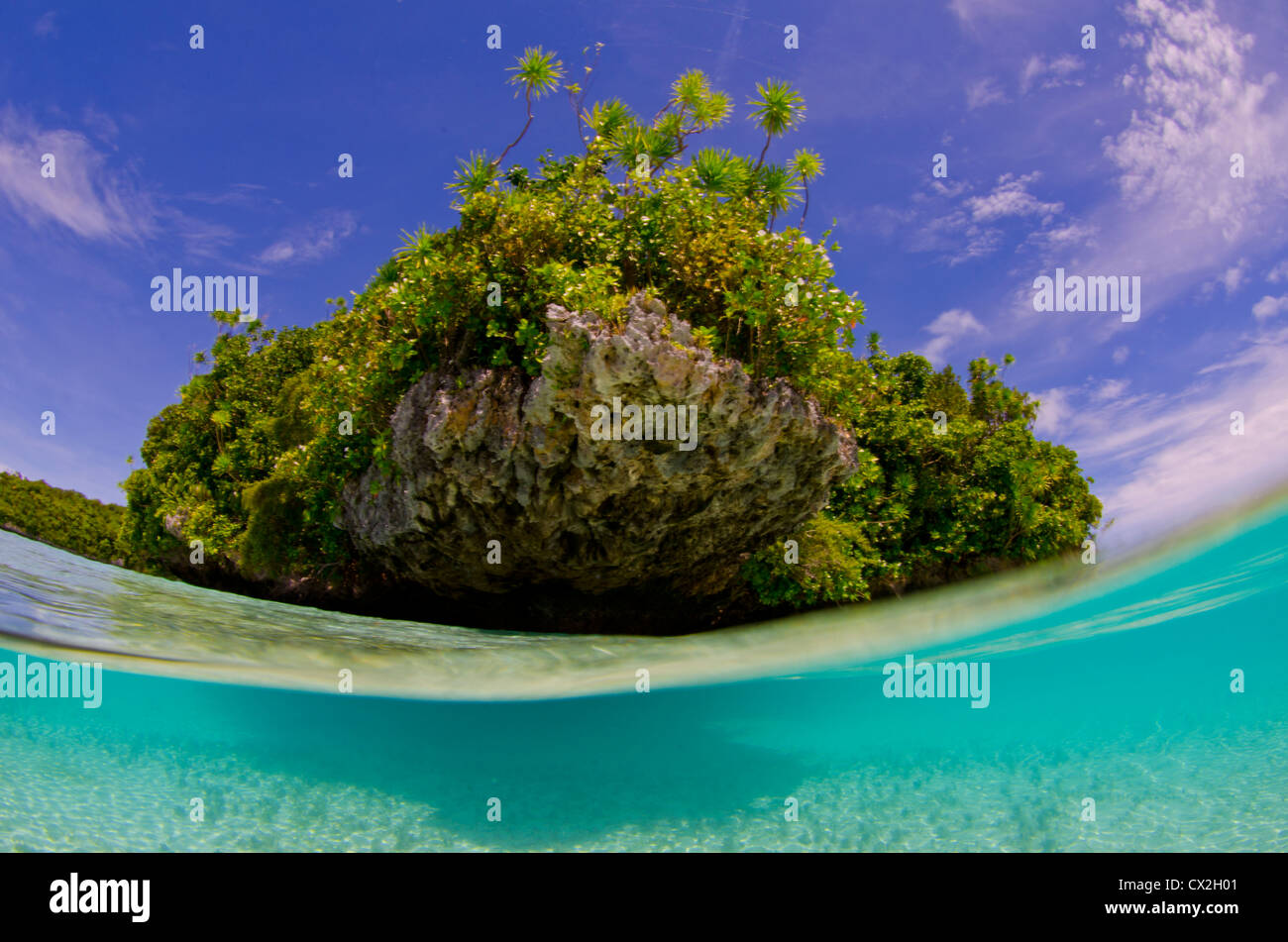 underwater scene of Palau, coral reefs, split, fotosub, blue water, clear water, island, tropical island, paradise, snorkel, sea Stock Photo