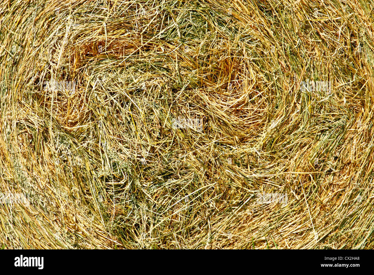 View of Close up from straw bale hi-res stock photography and images - Alamy