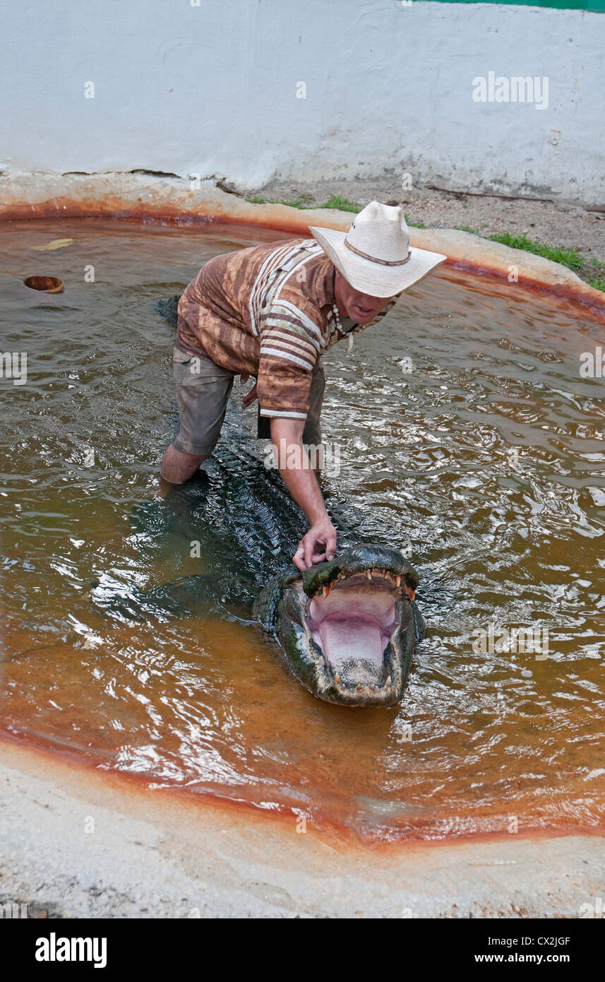 Jungle Queen cruise features a Tropical Isle with alligator wrestling.  Ft.Lauderdale,Florida. Stock Photo