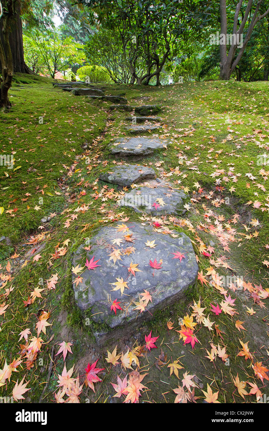Fallen Japanese Maple Tree Leaves on Stone Steps and Moss in Autumn Stock Photo