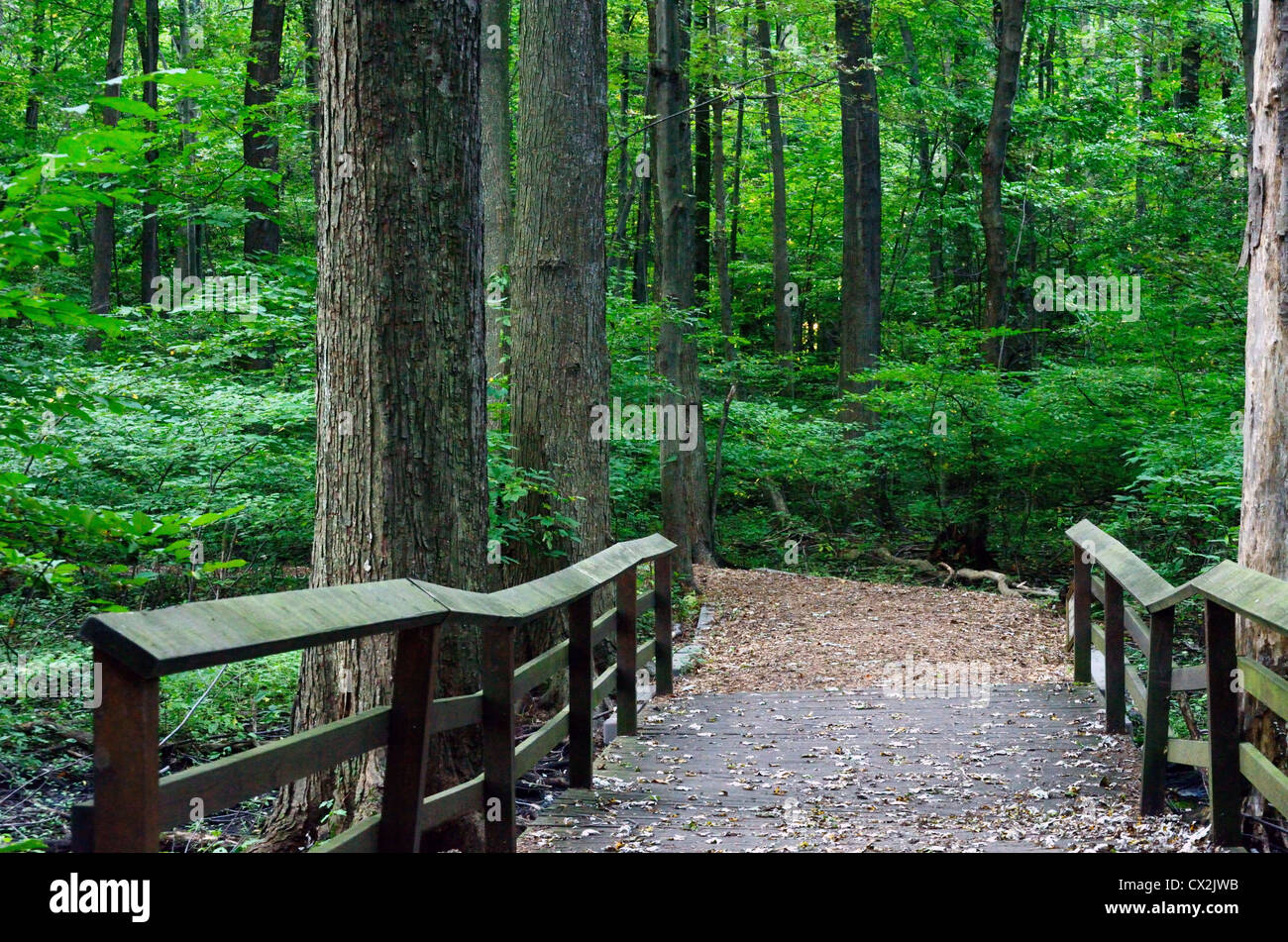 Children foot path hi-res stock photography and images - Alamy
