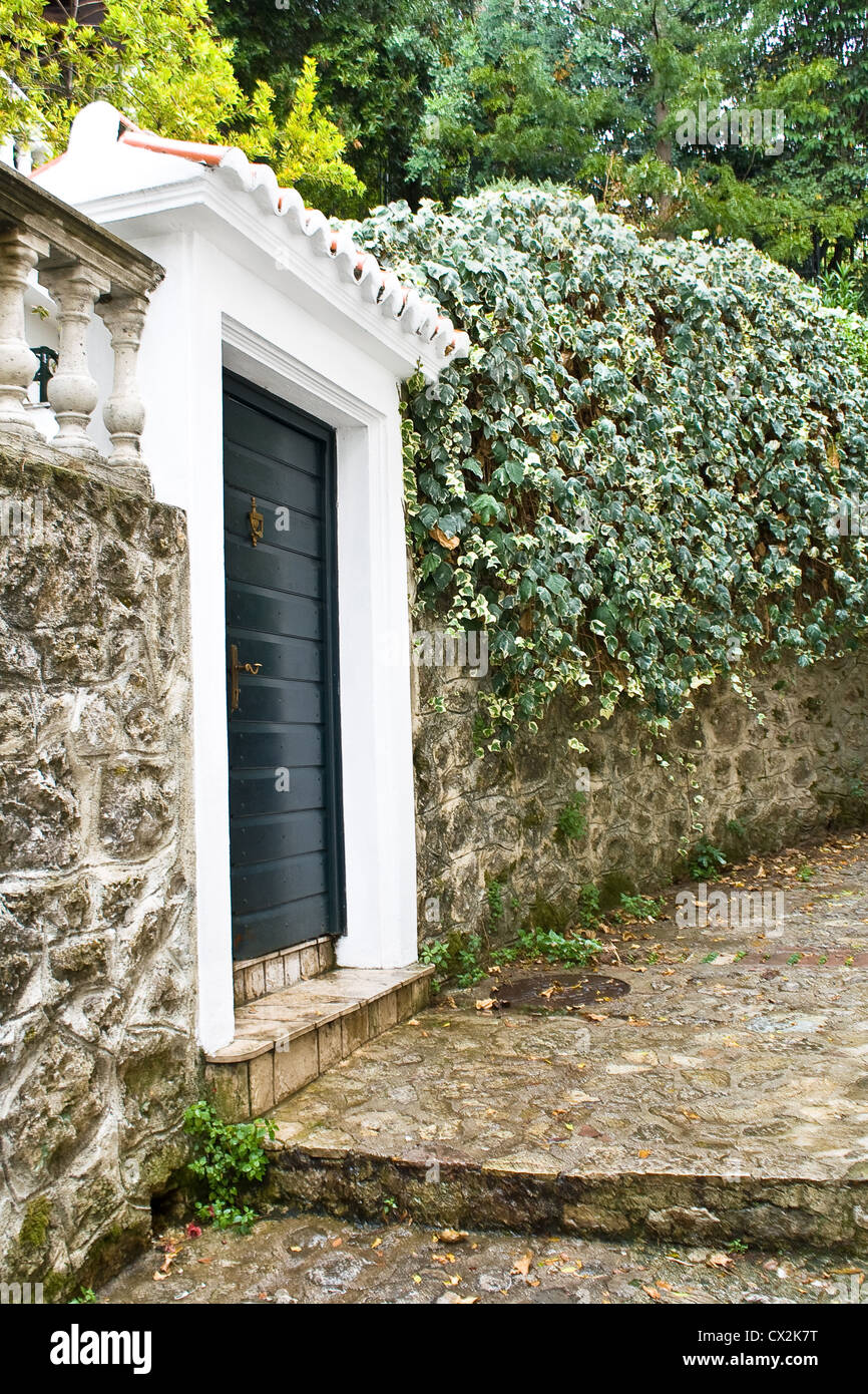 Gate and stone wall with plant beside a road Stock Photo