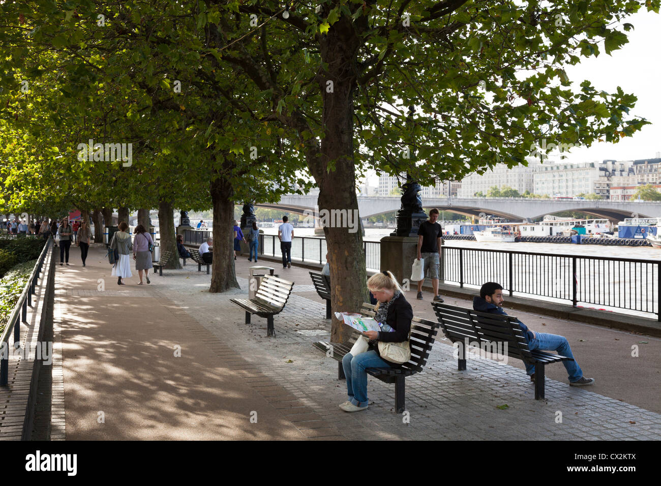 People Sitting On Benches Under The Shade Of Tree On The South