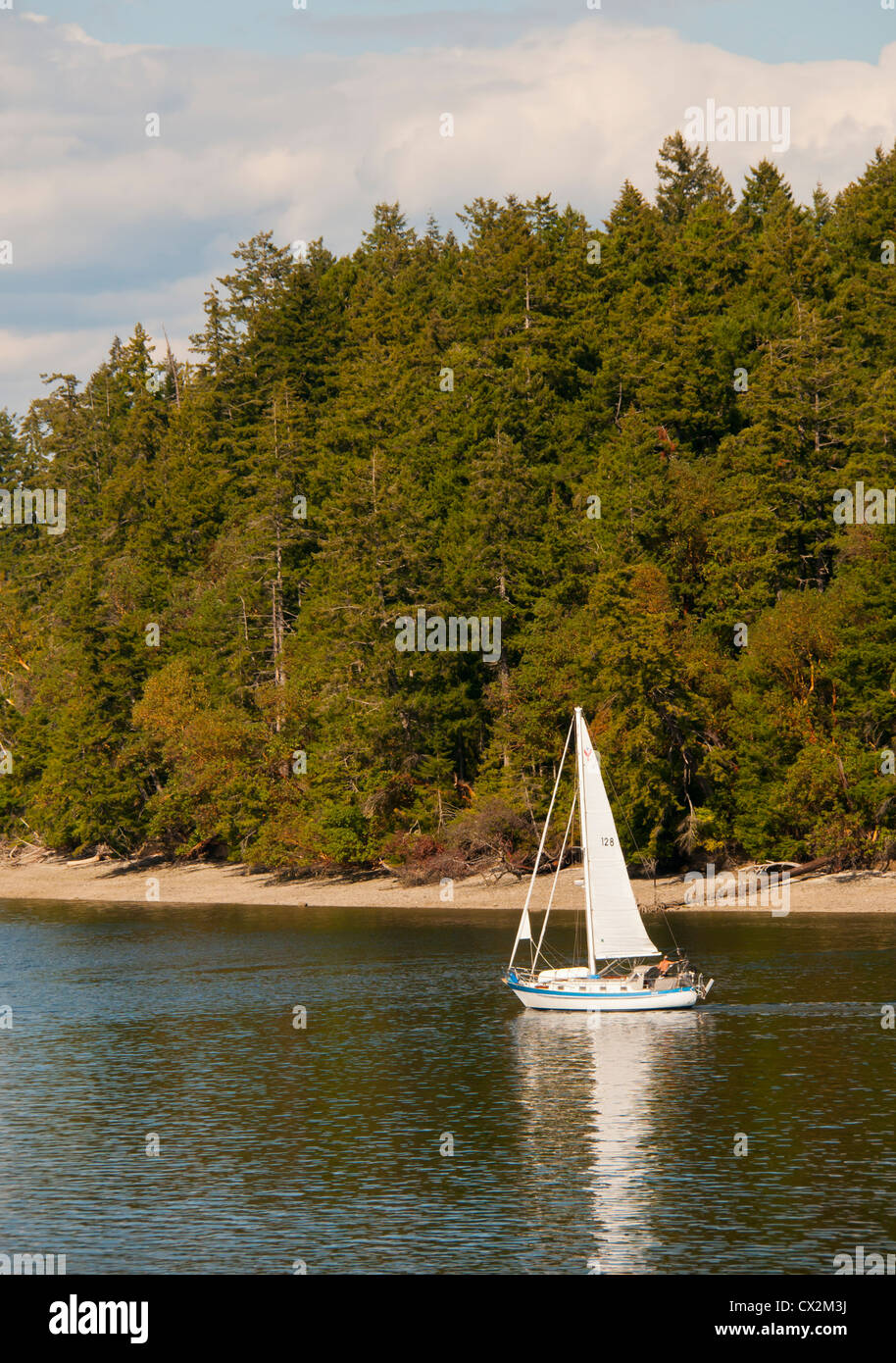 Puget Sound, Scenic view of sailboat sailing along the shoreline of