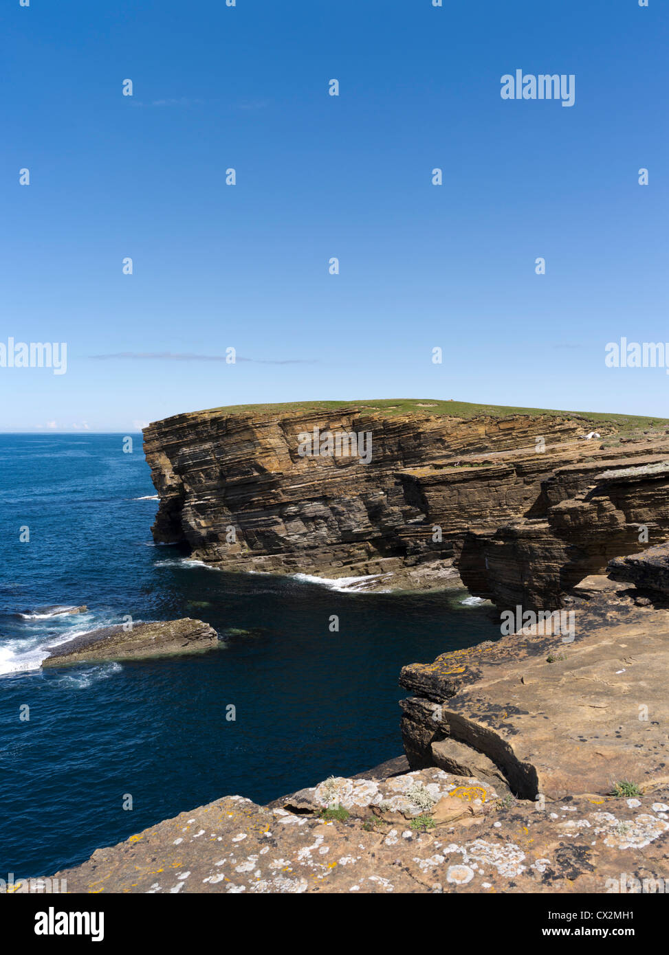 dh Brough of Bigging YESNABY ORKNEY Seacliffs blue sky seapinks clif tops and calm sea cliffs summer scotland Stock Photo