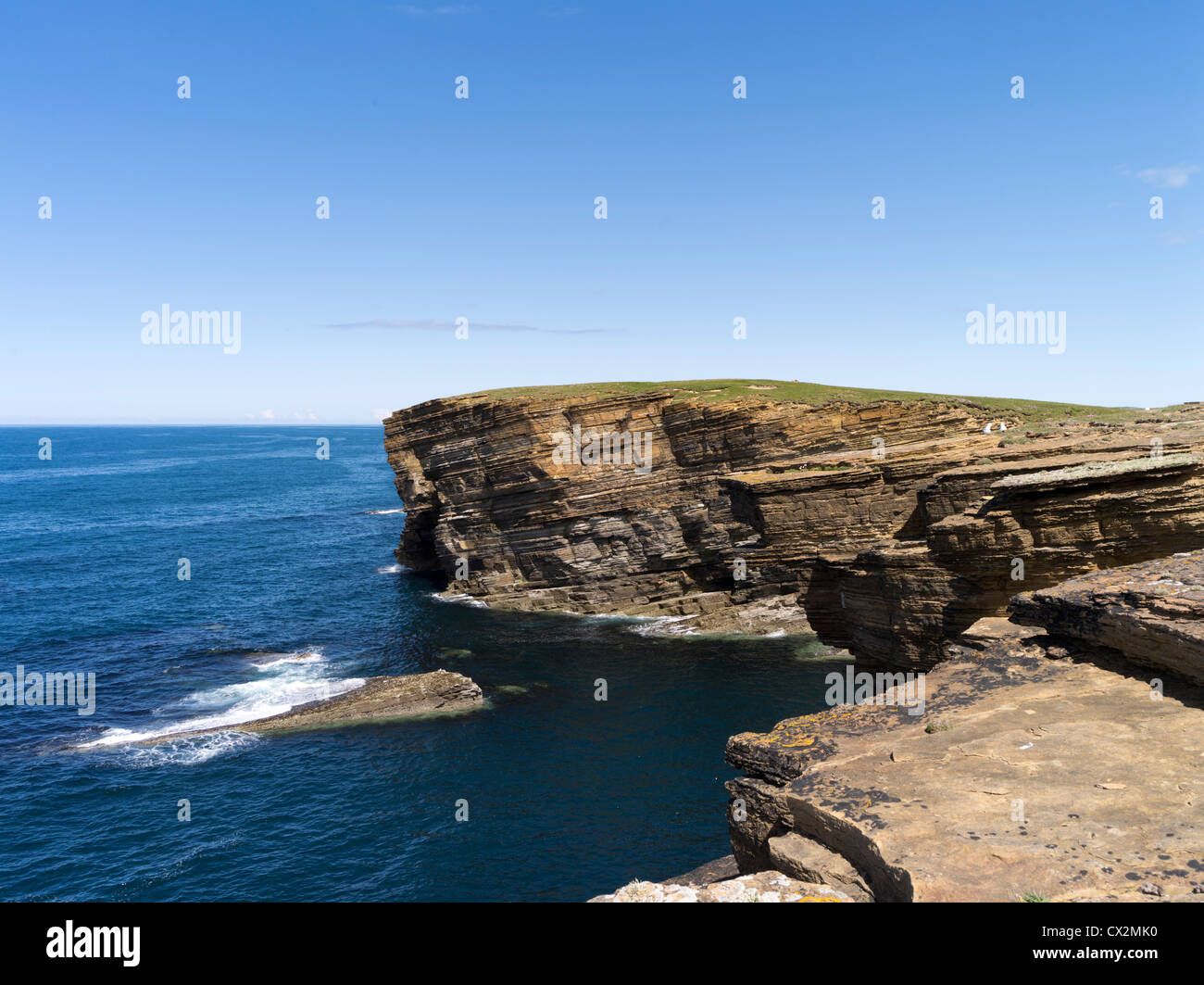 dh Brough of Bigging YESNABY ORKNEY Seacliffs blue sky seapinks clif tops and calm sea cliffs cliff scotland coast summer uk Stock Photo