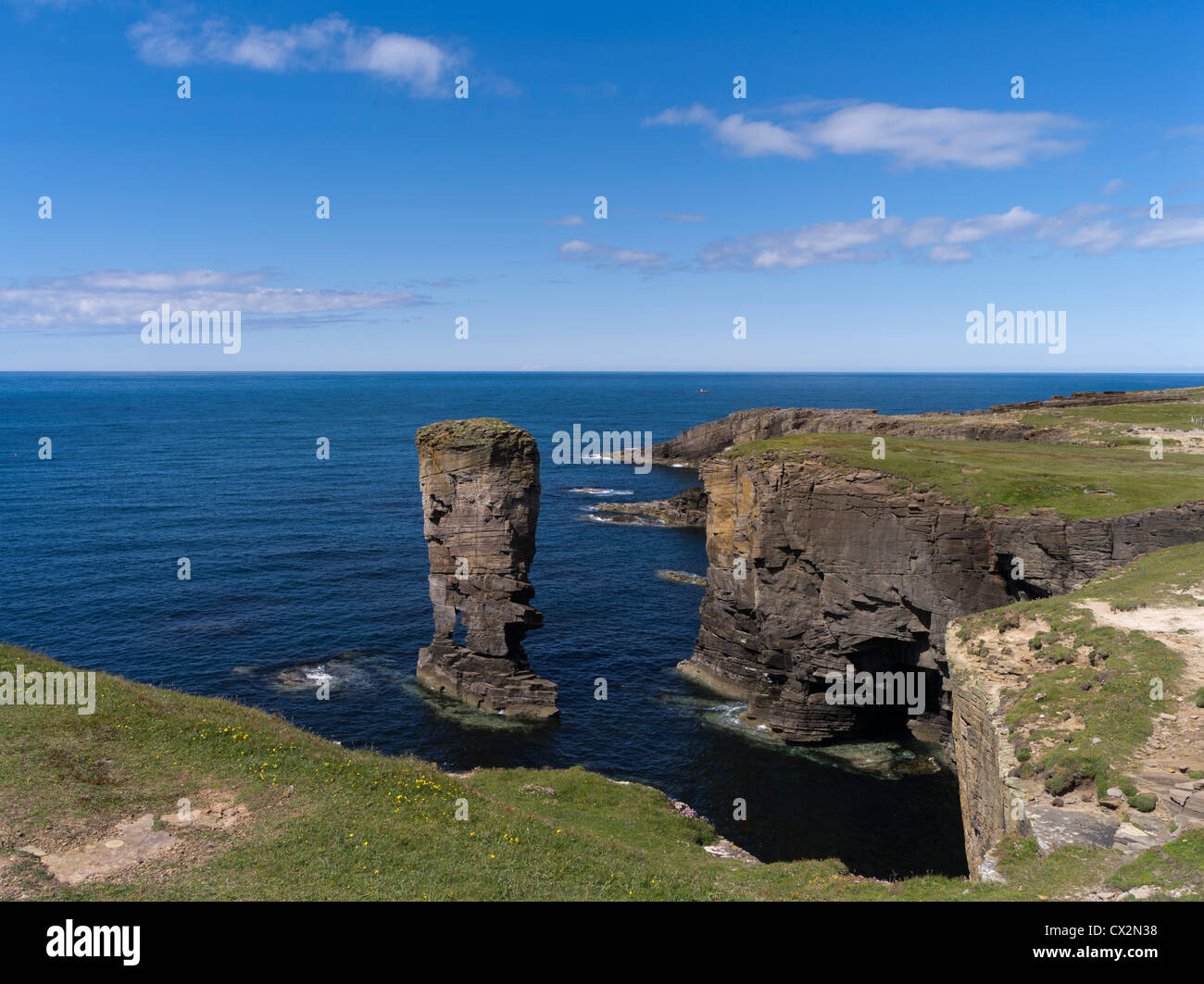 dh Yesnaby Castle YESNABY ORKNEY Sea stack rocky seacliff tops scottish coastlines cliffs uk coastline rocks cliff scotland coast line Stock Photo