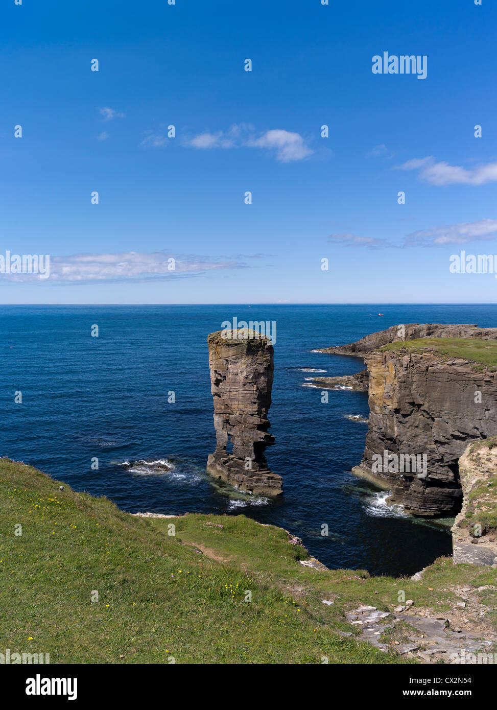 dh Yesnaby Castle YESNABY ORKNEY Scottish Coastline sea stack rocky coast seacliff tops cliffs uk scotland summer coastal coastlines gb cliff stacks Stock Photo