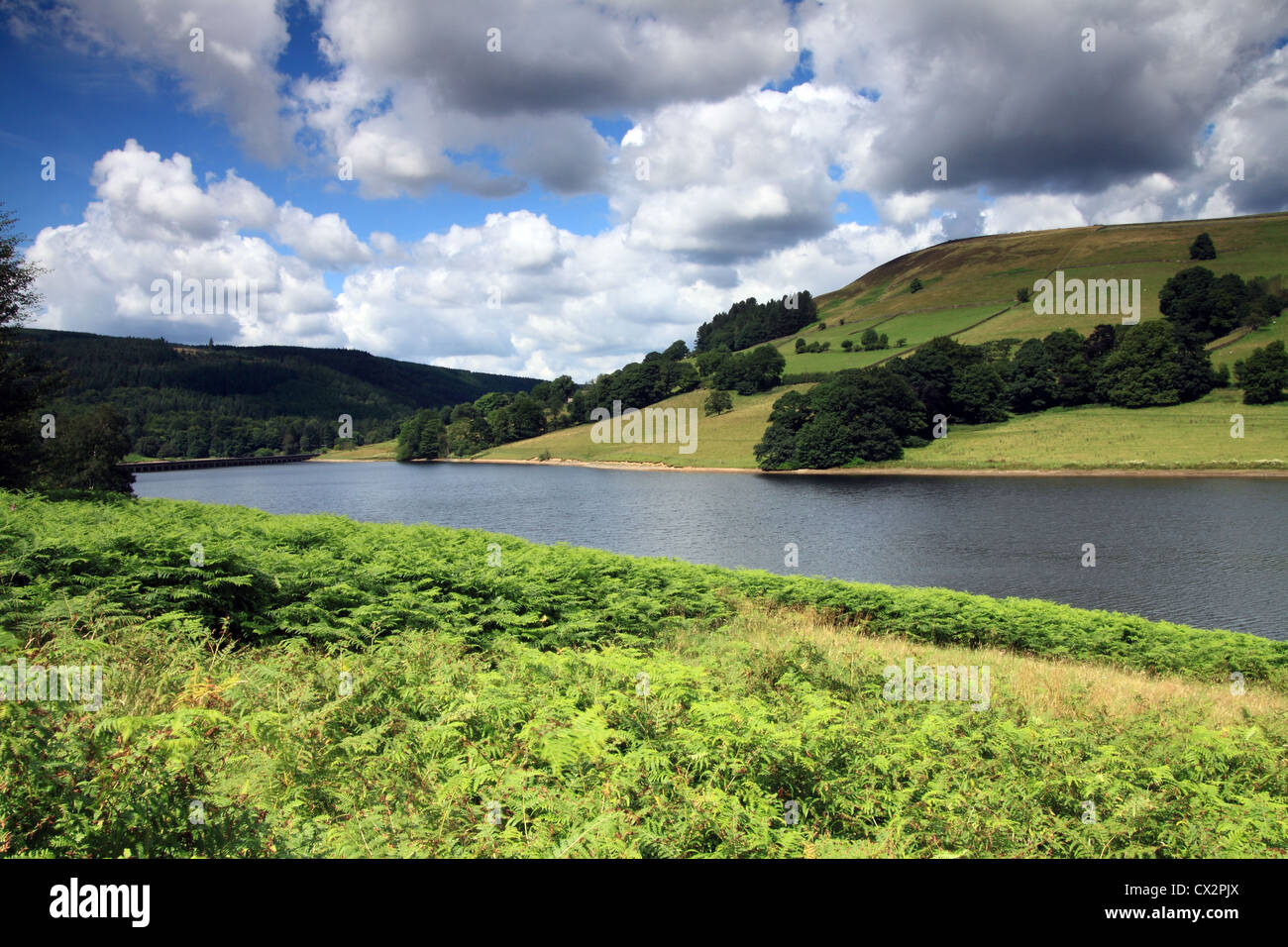 Derwent Reservoir Derbyshire Stock Photo Alamy
