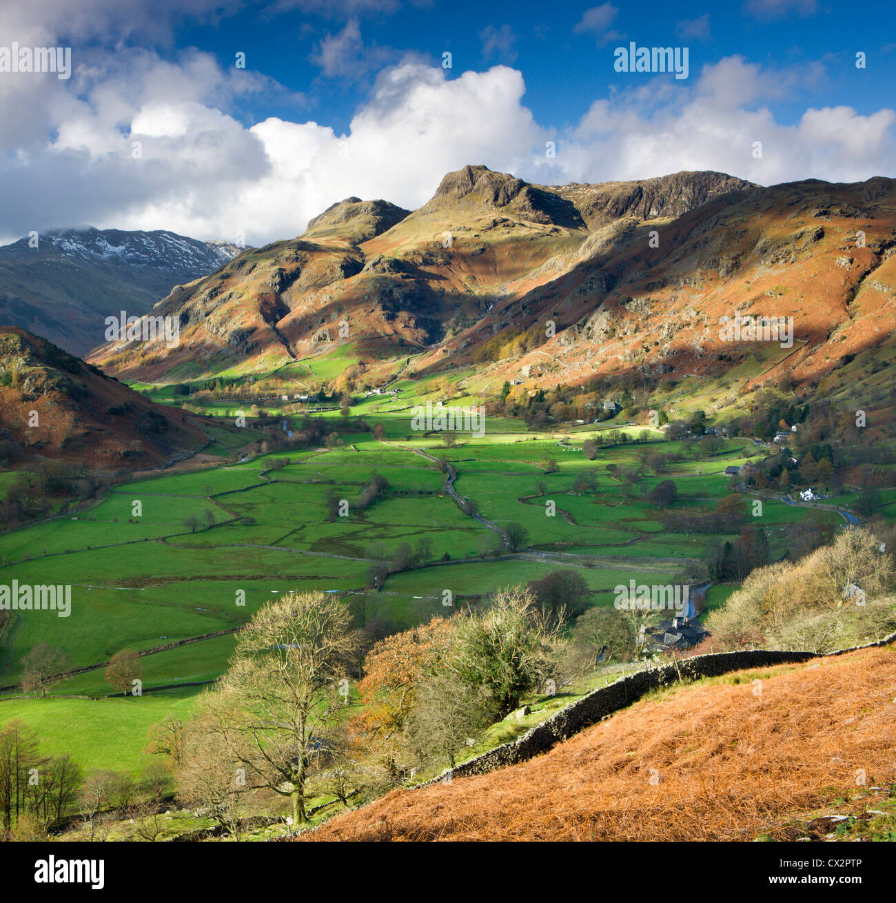 Great Langdale and the Langdale Pikes, Lake District National Park, Cumbria, England. Autumn (November) 2010. Stock Photo
