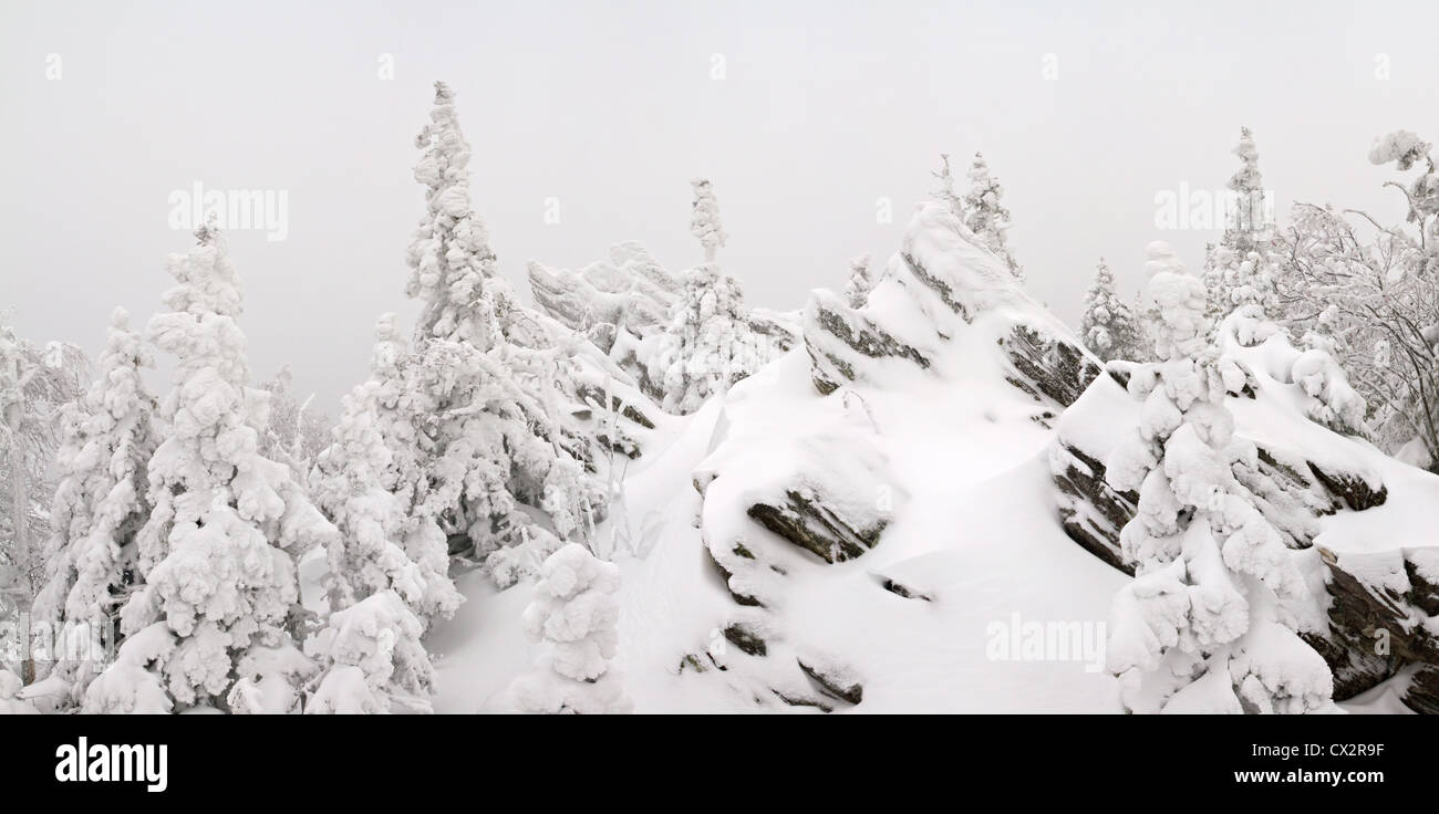 Landscape. Snowbound trees and rocks in taiga. Winter forest. National ...