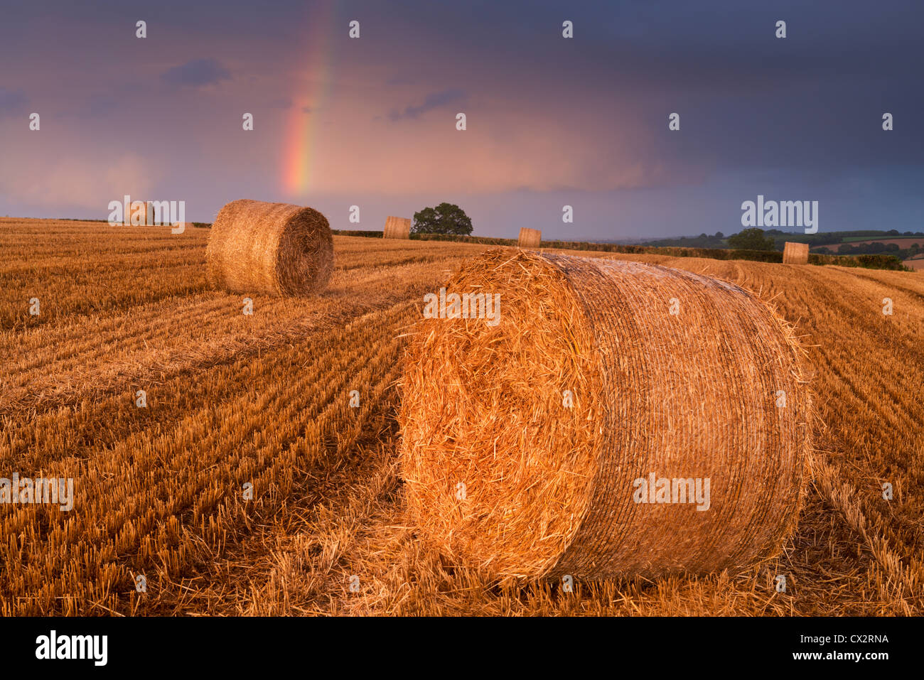 Hay Bales in a harvested field with rainbow overhead, Eastington, Devon