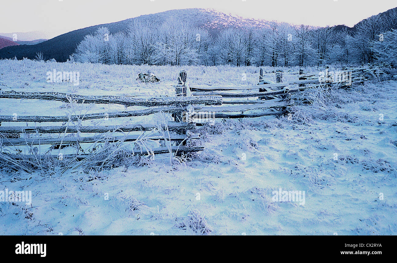 A winter scene of hoarfrost on a split rail fence in Virginia's Mount Rogers National Recreation Area Stock Photo