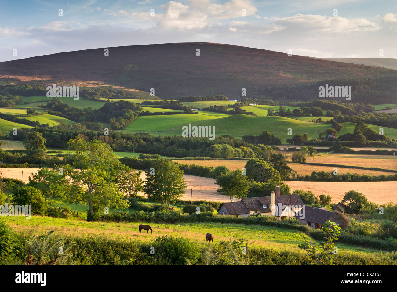 Farmhouse surrounded by rolling Exmoor countryside, Somerset, England. Summer (August) 2012. Stock Photo