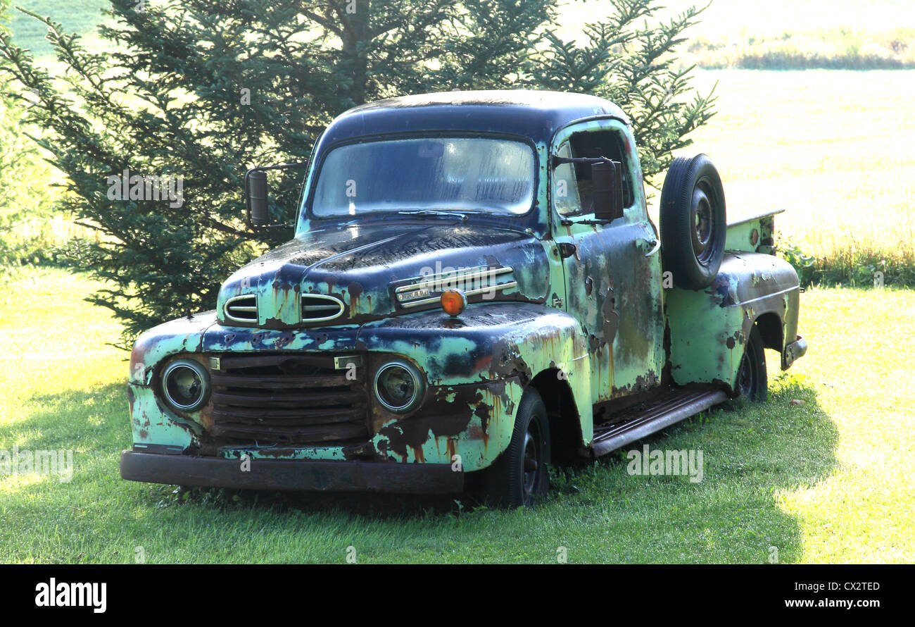 An old green Ford truck in a residential lawn. Stock Photo