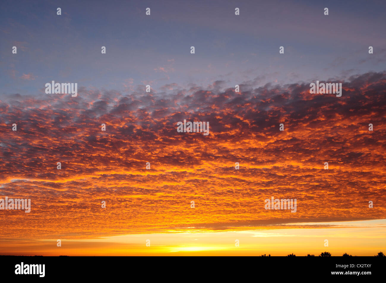Altocumulus 'Mackerel Sky' at Sun Rise Stock Photo Alamy