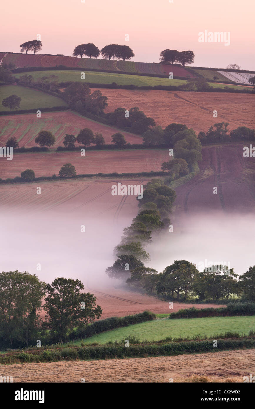 Mist covered rolling farmland, Stockleigh Pomeroy, Devon, England. Autumn (September) 2012. Stock Photo