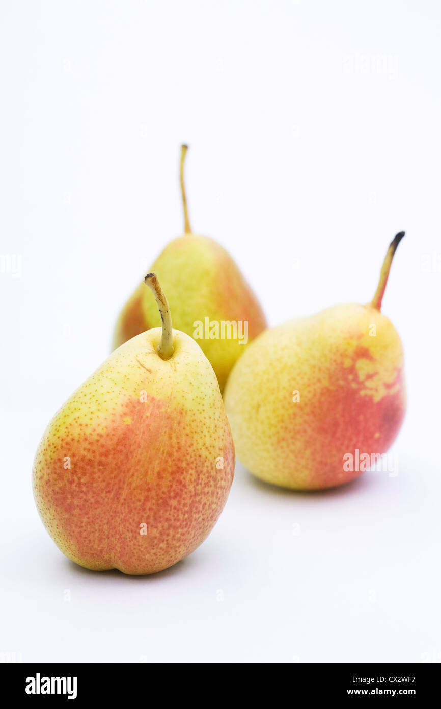 Pyrus communis 'Forelle'. Three red blush dessert pears on a white background. Stock Photo