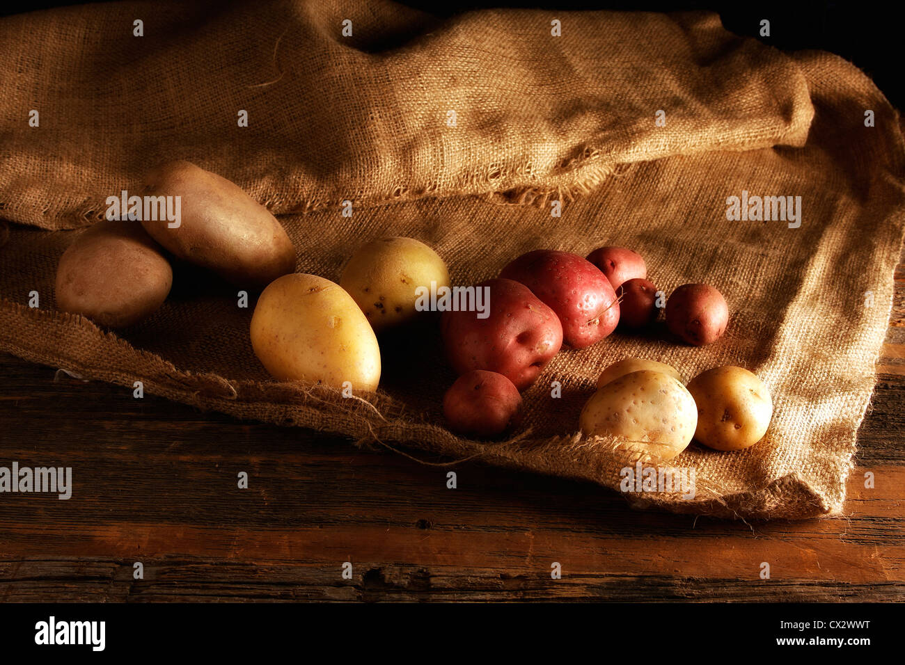 Potatoes on Burlap - Hi-res Stock Photo