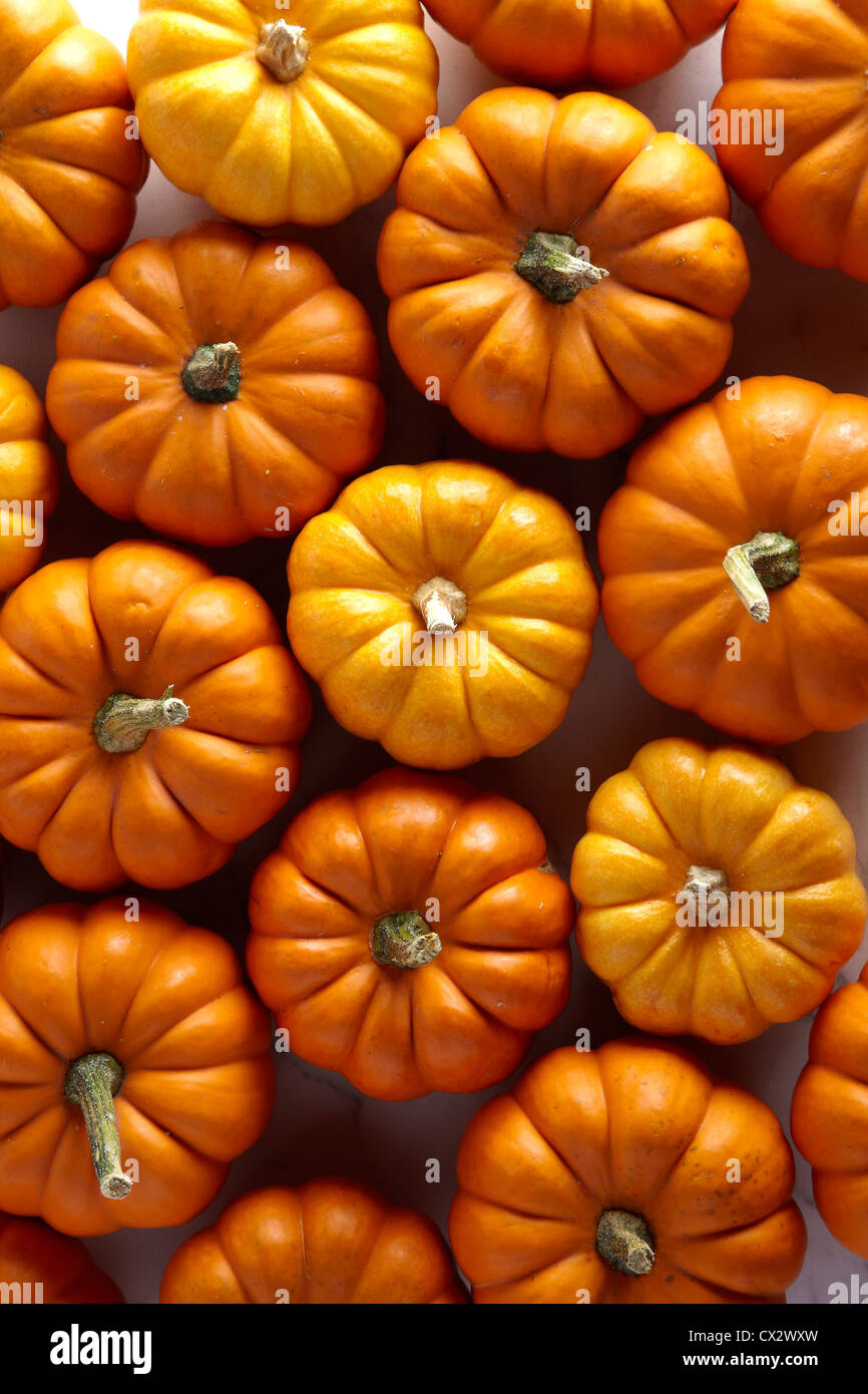 Pumpkins / squash Stock Photo